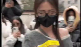 八卦爆料在线吃瓜蘑菇,在线吃瓜蘑菇，揭秘娱乐圈幕后风云